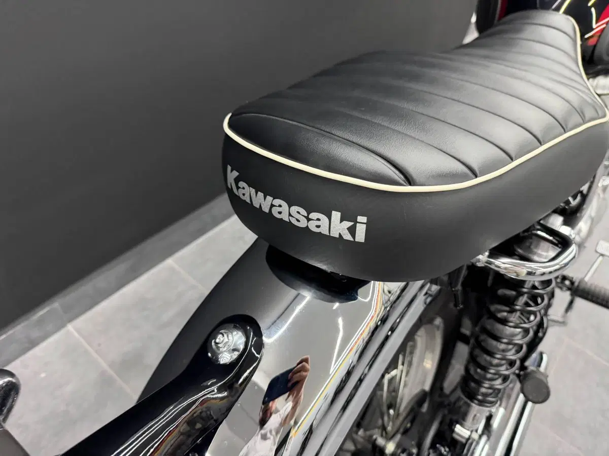 Kawasaki W 800 (2021 - 26) (2)