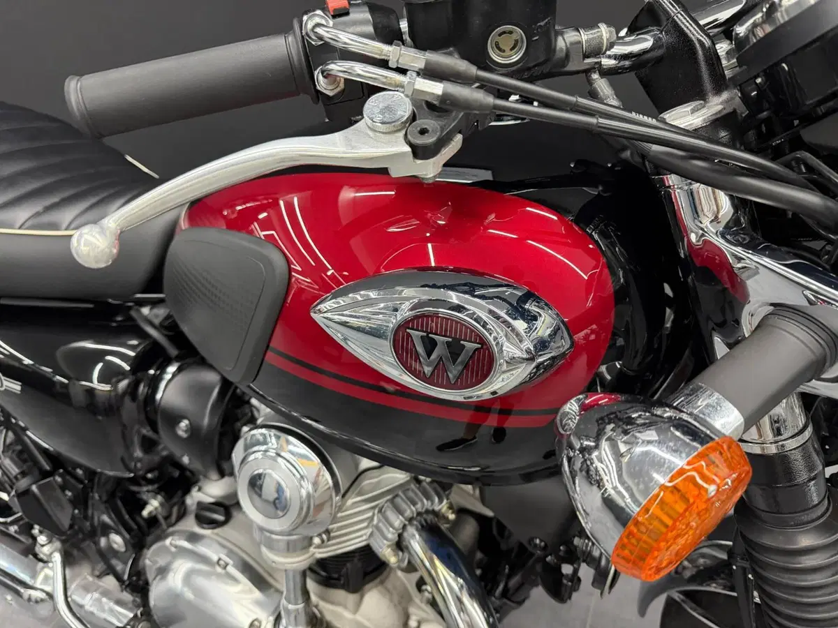 Kawasaki W 800 (2021 - 26) (3)