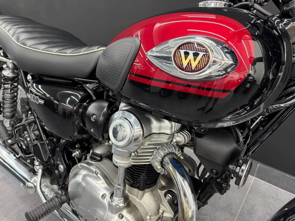 Kawasaki W 800 (2021 - 26) (11)