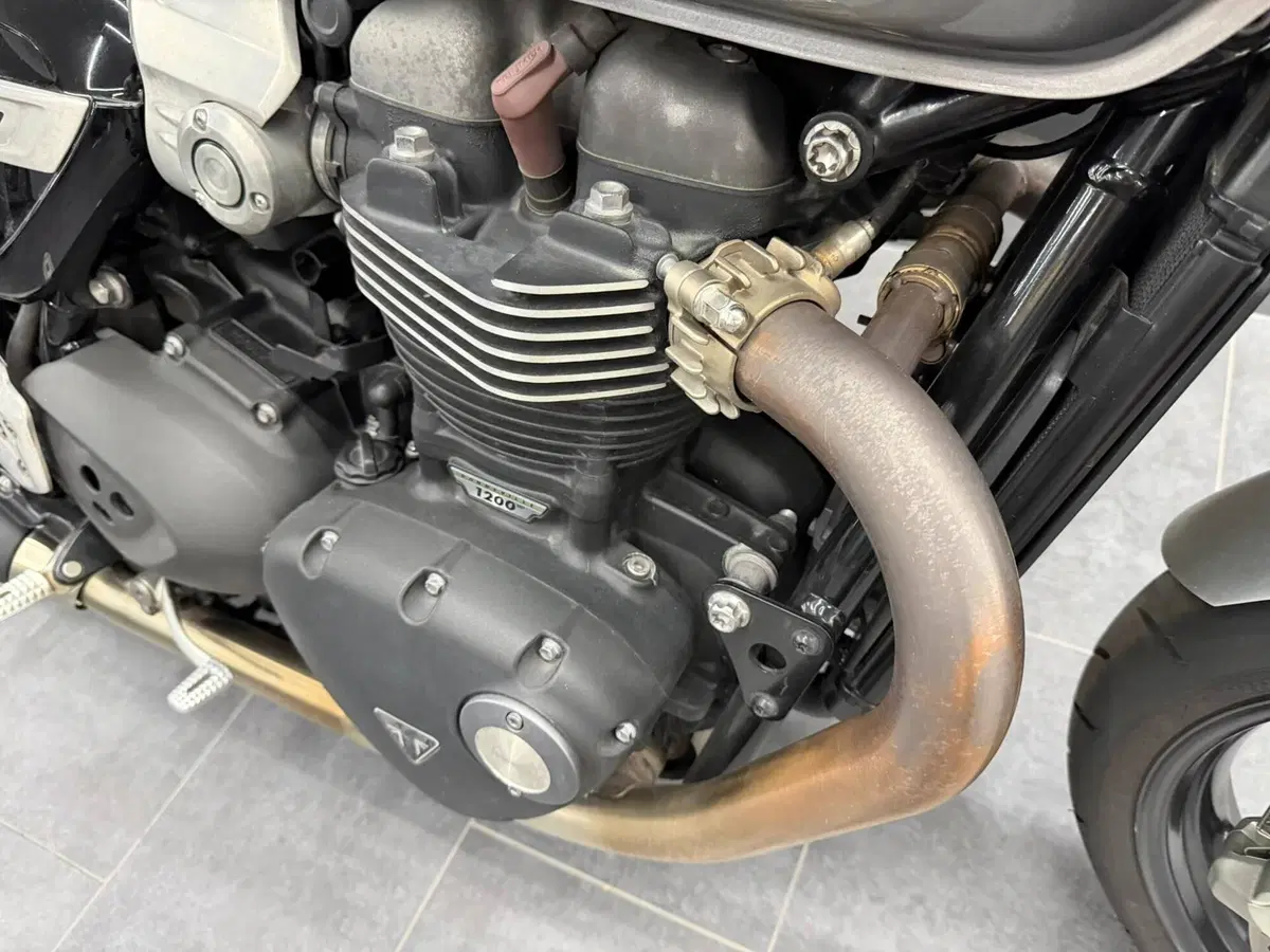 Triumph Speed Twin 1200 (2021 - 24) (5)