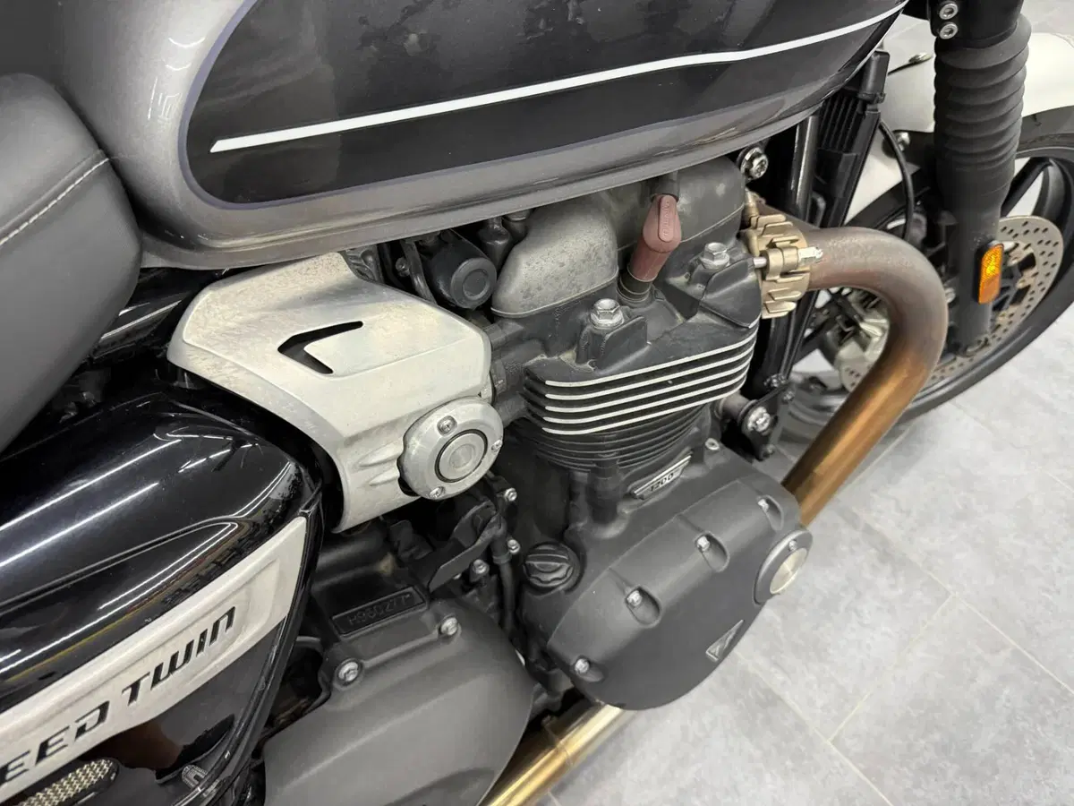 Triumph Speed Twin 1200 (2021 - 24) (6)