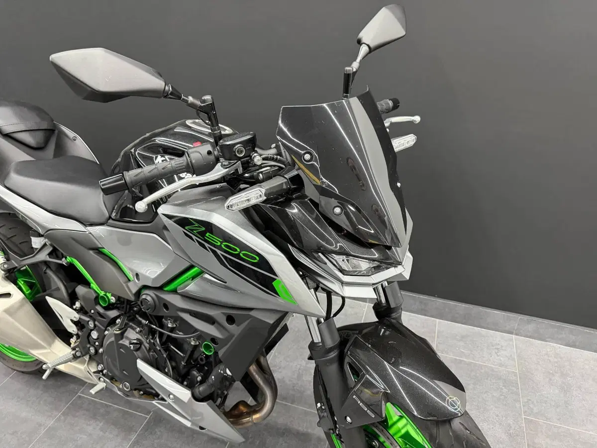 Kawasaki Z 500 SE (2024 - 26) (3)