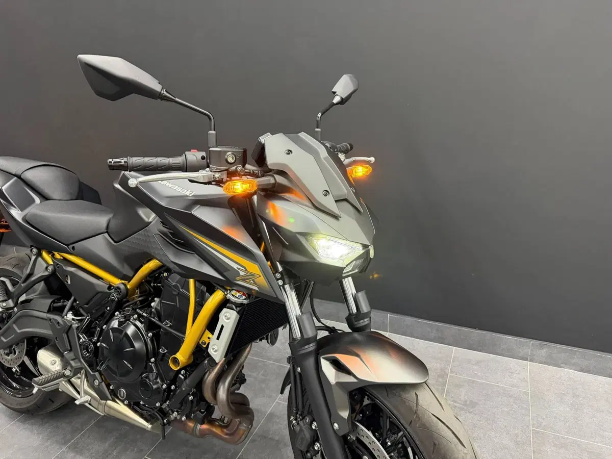 Kawasaki Z 650 S (2026) (8)