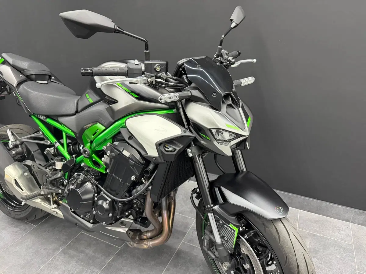 Kawasaki Z 900 (2025 - 26) (6)