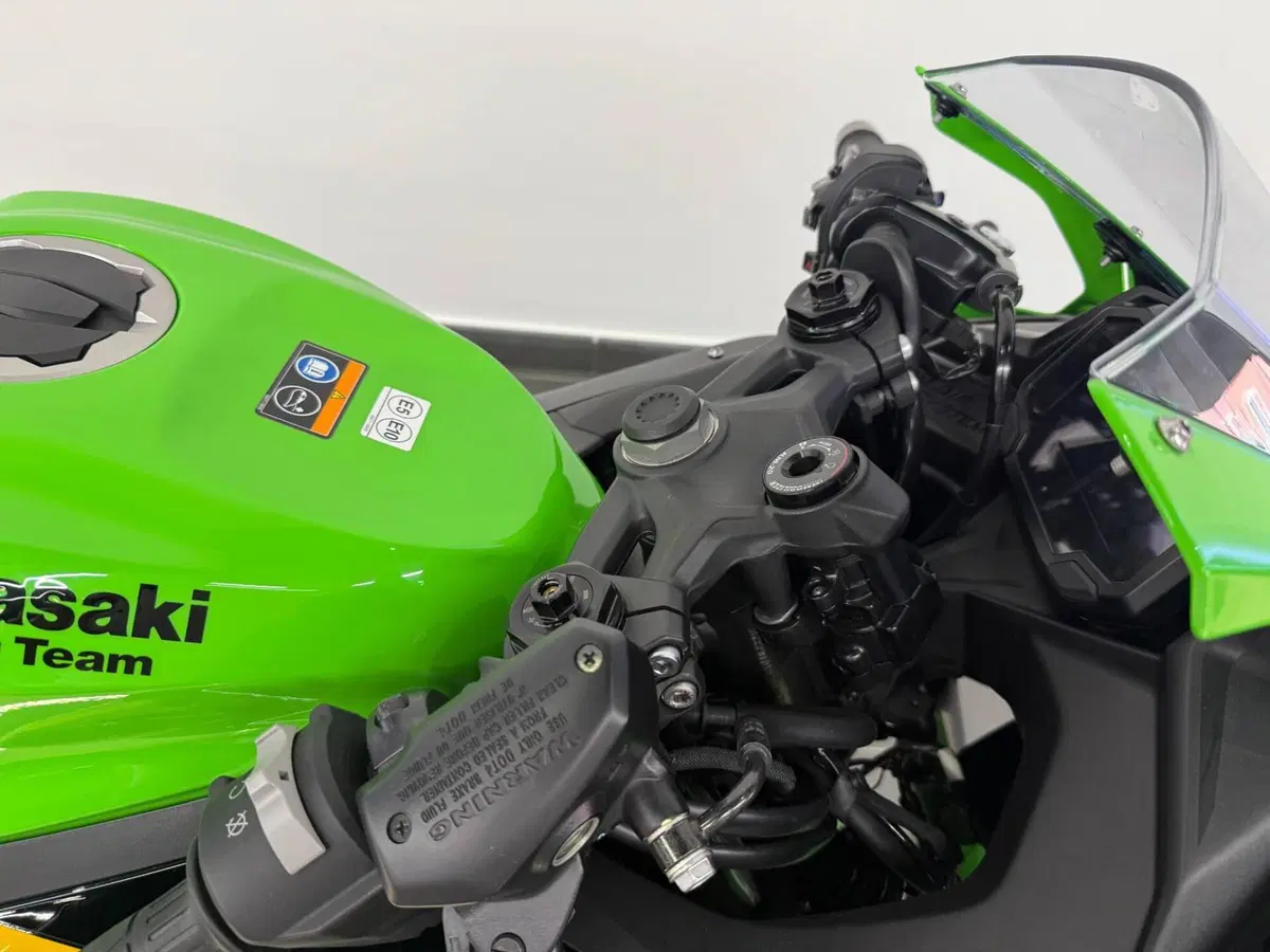 Kawasaki Ninja ZX-4RR (2024 - 26) (3)
