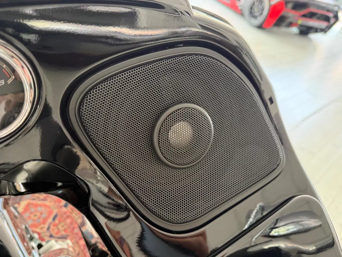 Harley-Davidson 114 Road Glide Special (2019 - 20) - FLTRXS (12)