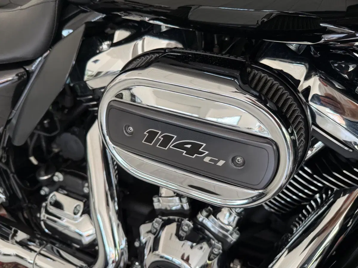 Harley-Davidson 114 Road Glide Special (2019 - 20) - FLTRXS (15)