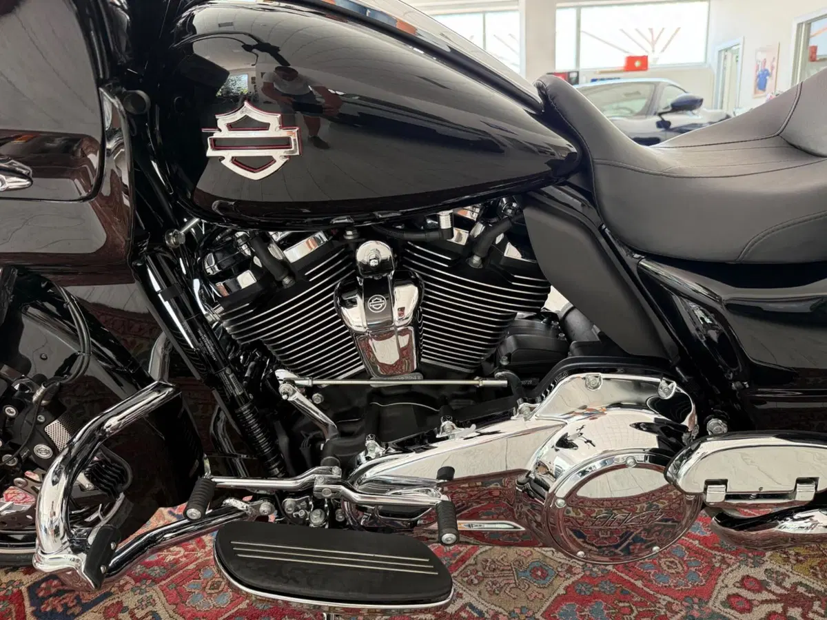 Harley-Davidson 114 Road Glide Special (2019 - 20) - FLTRXS (7)