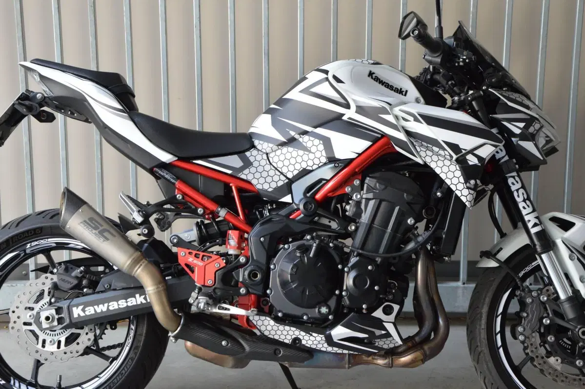 Kawasaki Z 900 (2021 - 24) (9)