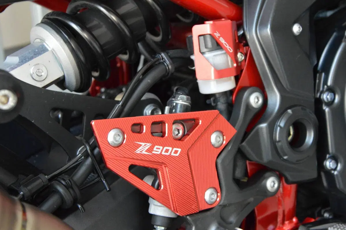 Kawasaki Z 900 (2021 - 24) (15)