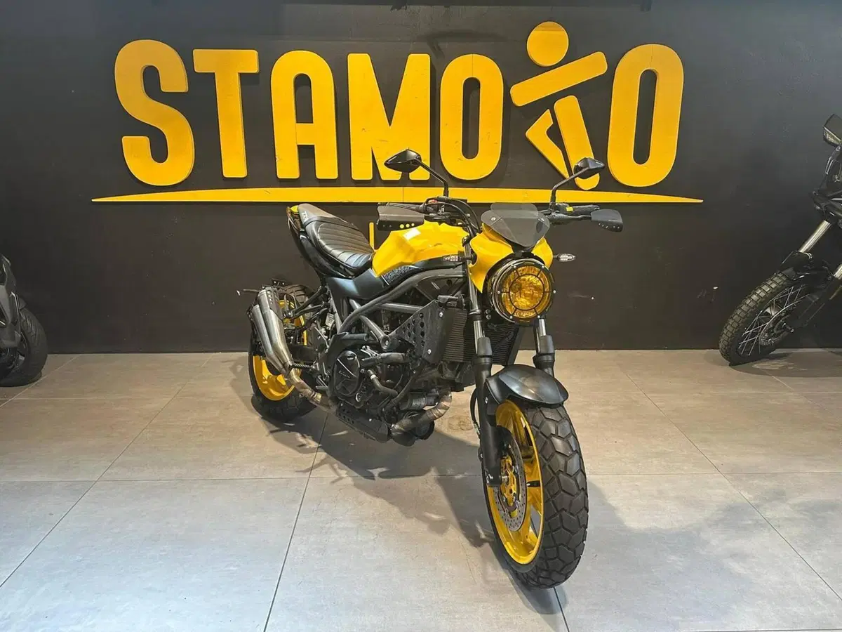 Suzuki SV650 (2021 - 24) (2)