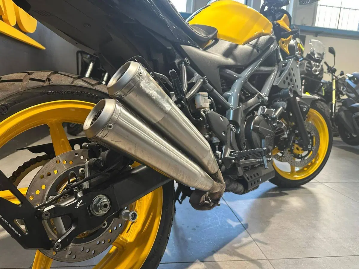 Suzuki SV650 (2021 - 24) (6)