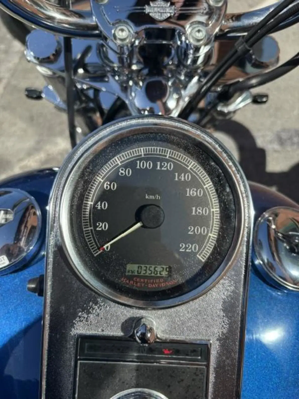 Harley-Davidson 1450 Standard (2002 - 05) - FXSTI (4)