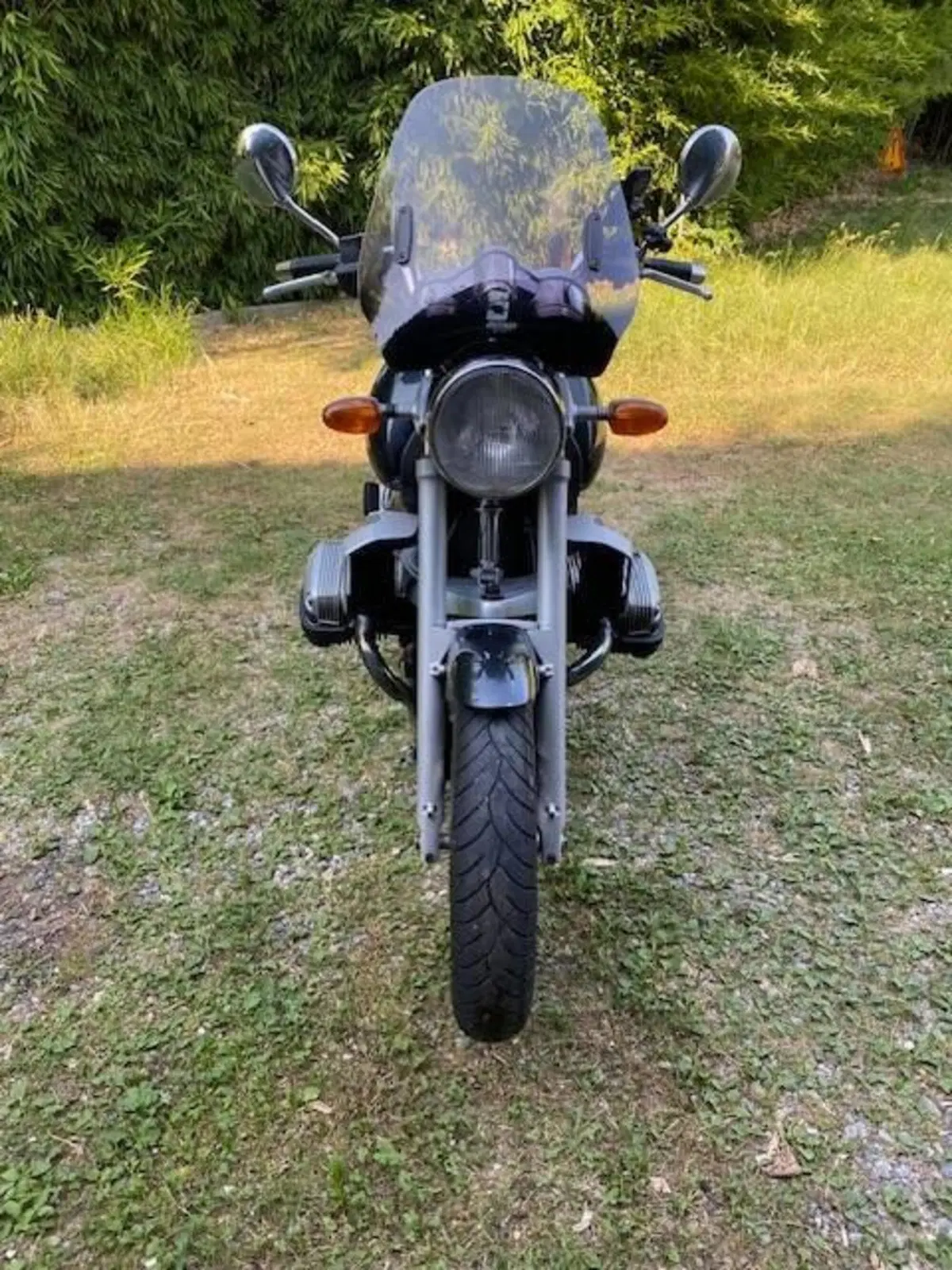 Bmw R850R (4)