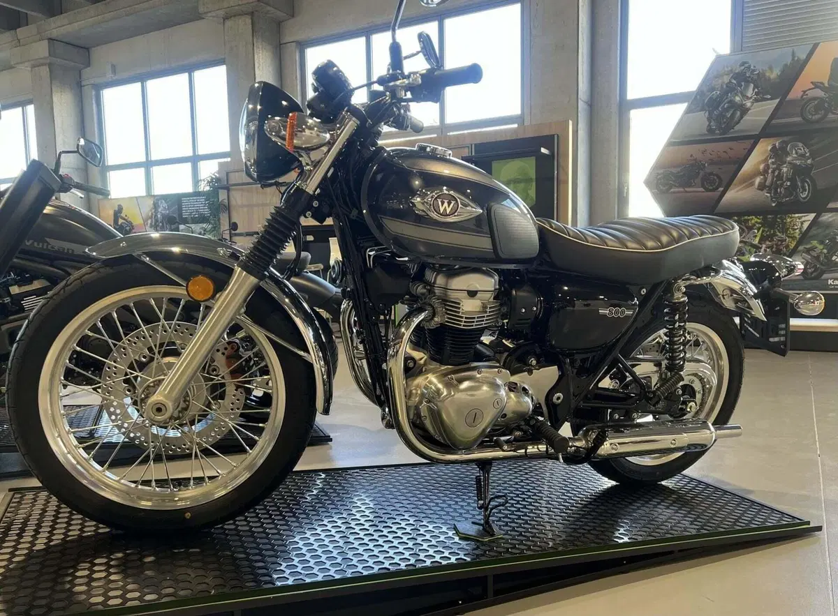 Kawasaki W 800 (2021 - 26) (2)