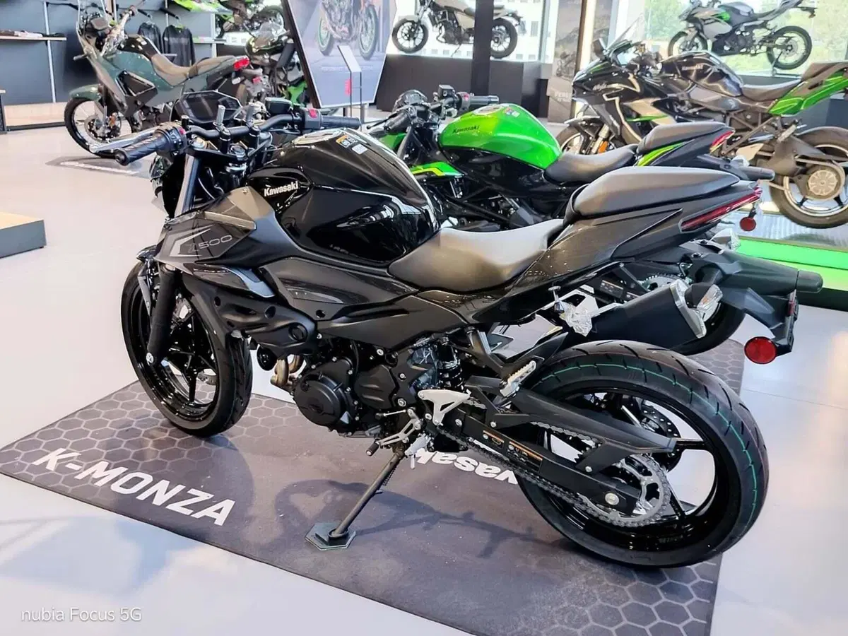 Kawasaki Z 500 (2024 - 26) (3)