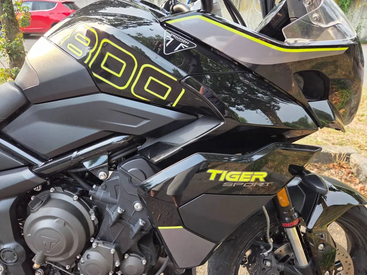 Triumph Tiger Sport 800 (2025 - 26) (6)