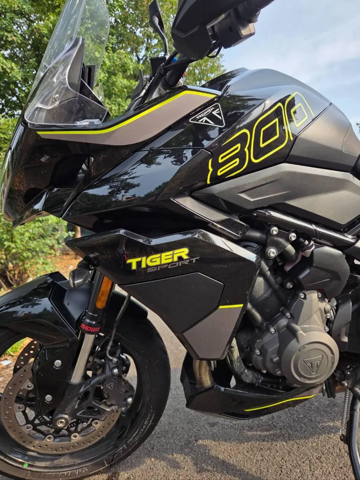 Triumph Tiger Sport 800 (2025 - 26) (10)