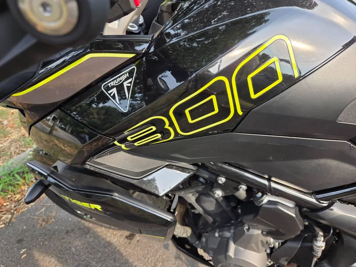 Triumph Tiger Sport 800 (2025 - 26) (11)