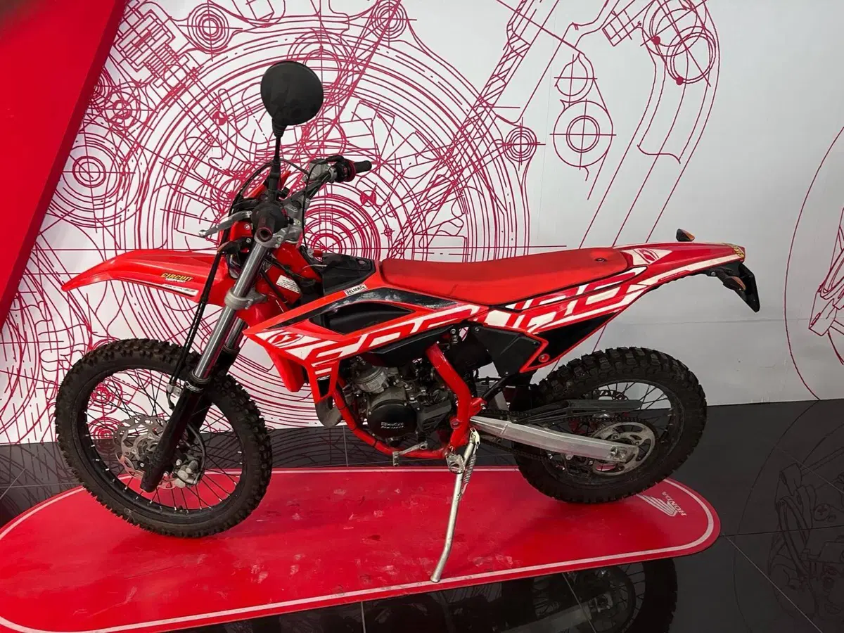Betamotor RR 50 Enduro Sport (2021 - 26) (7)