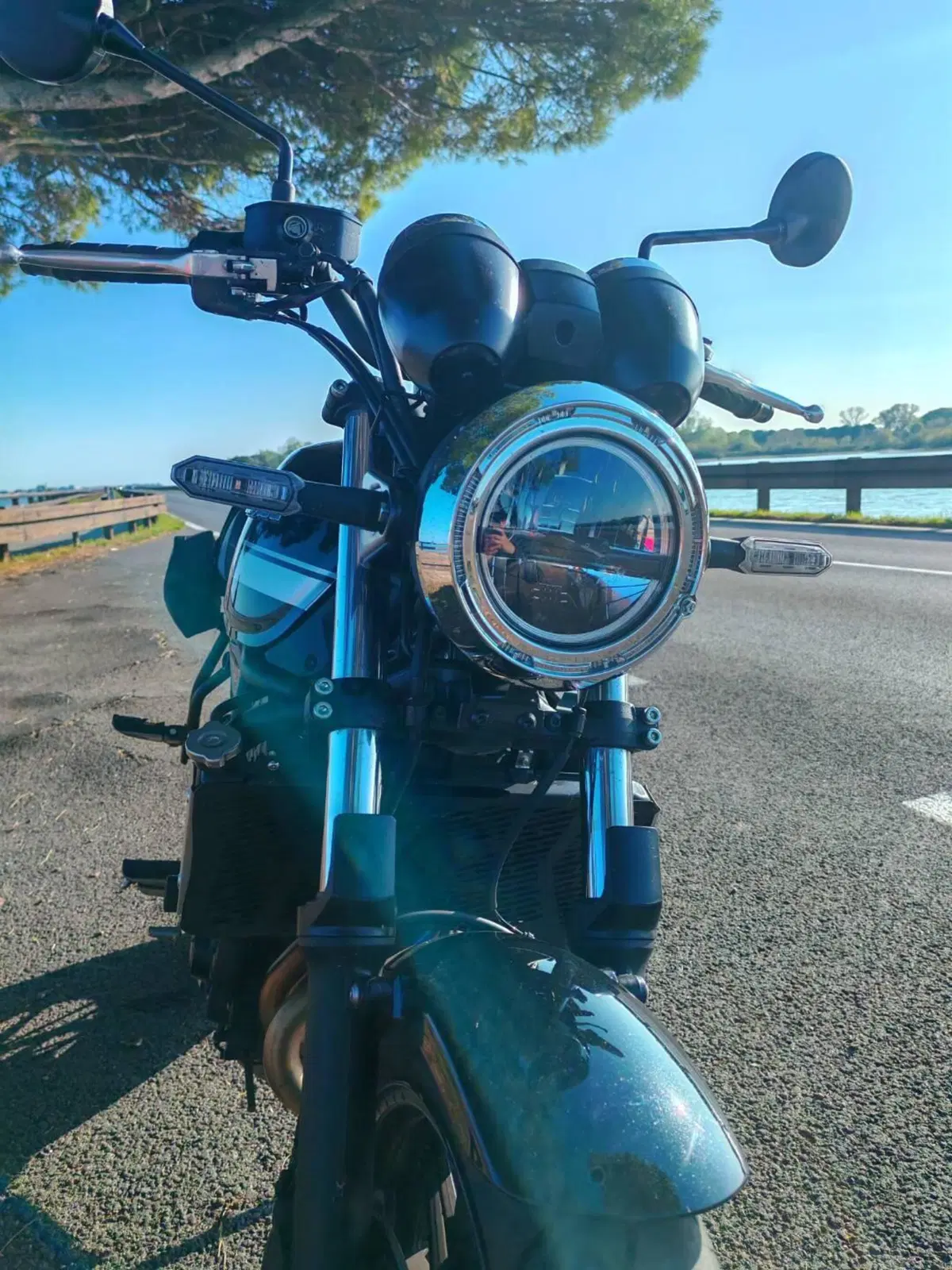 Kawasaki Z 650 RS (2022 - 24) (2)