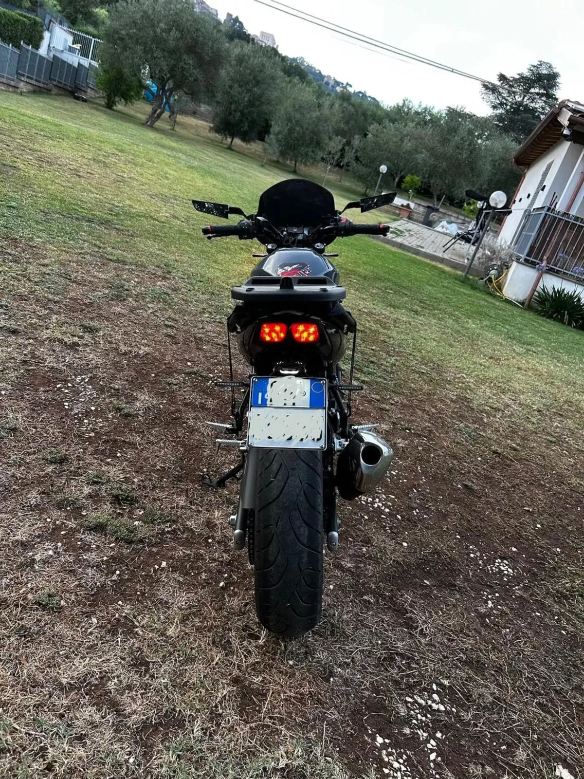 Suzuki SV650 (2021 - 24) (2)