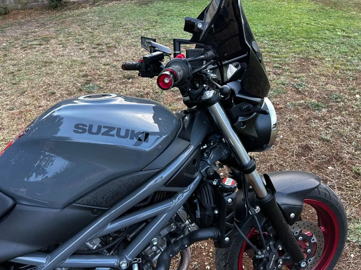 Suzuki SV650 (2021 - 24) (3)