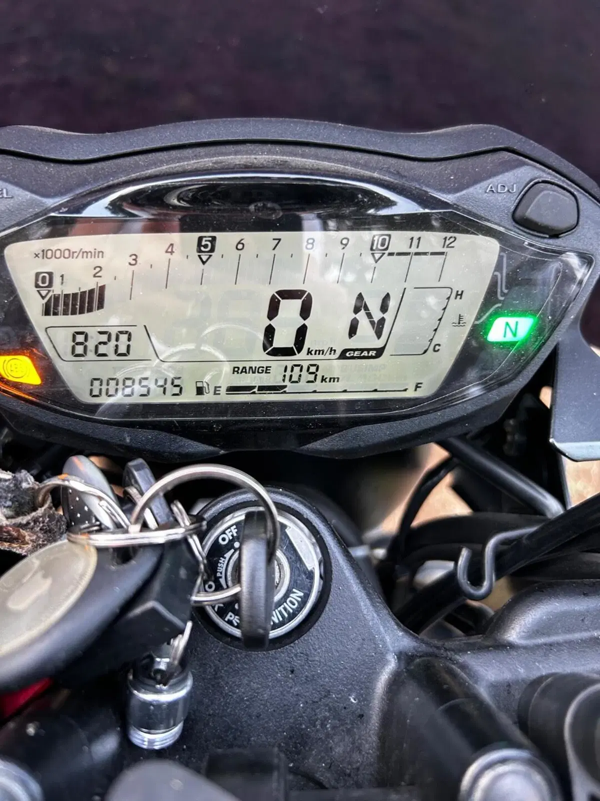 Suzuki SV650 (2021 - 24) (4)