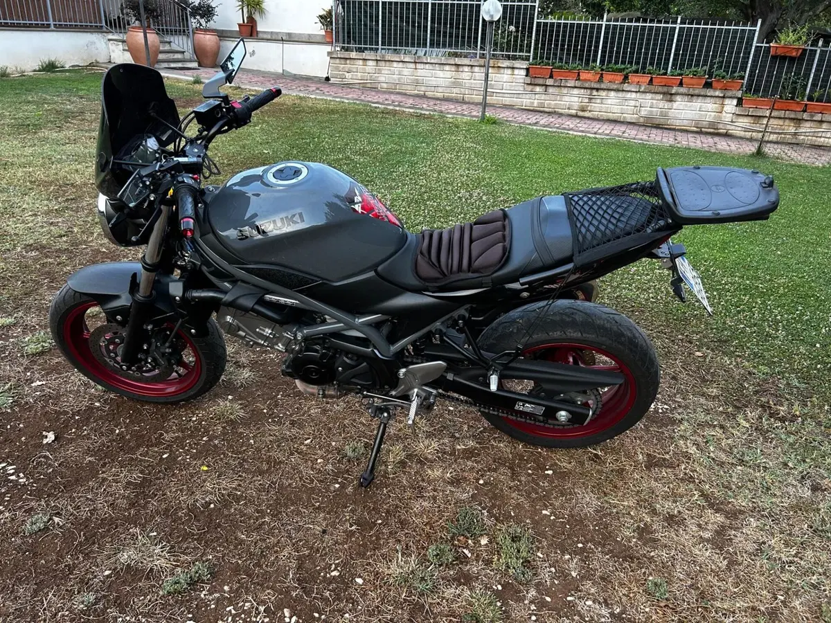 Suzuki SV650 (2021 - 24) (5)