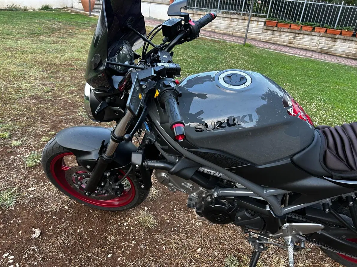 Suzuki SV650 (2021 - 24) (6)