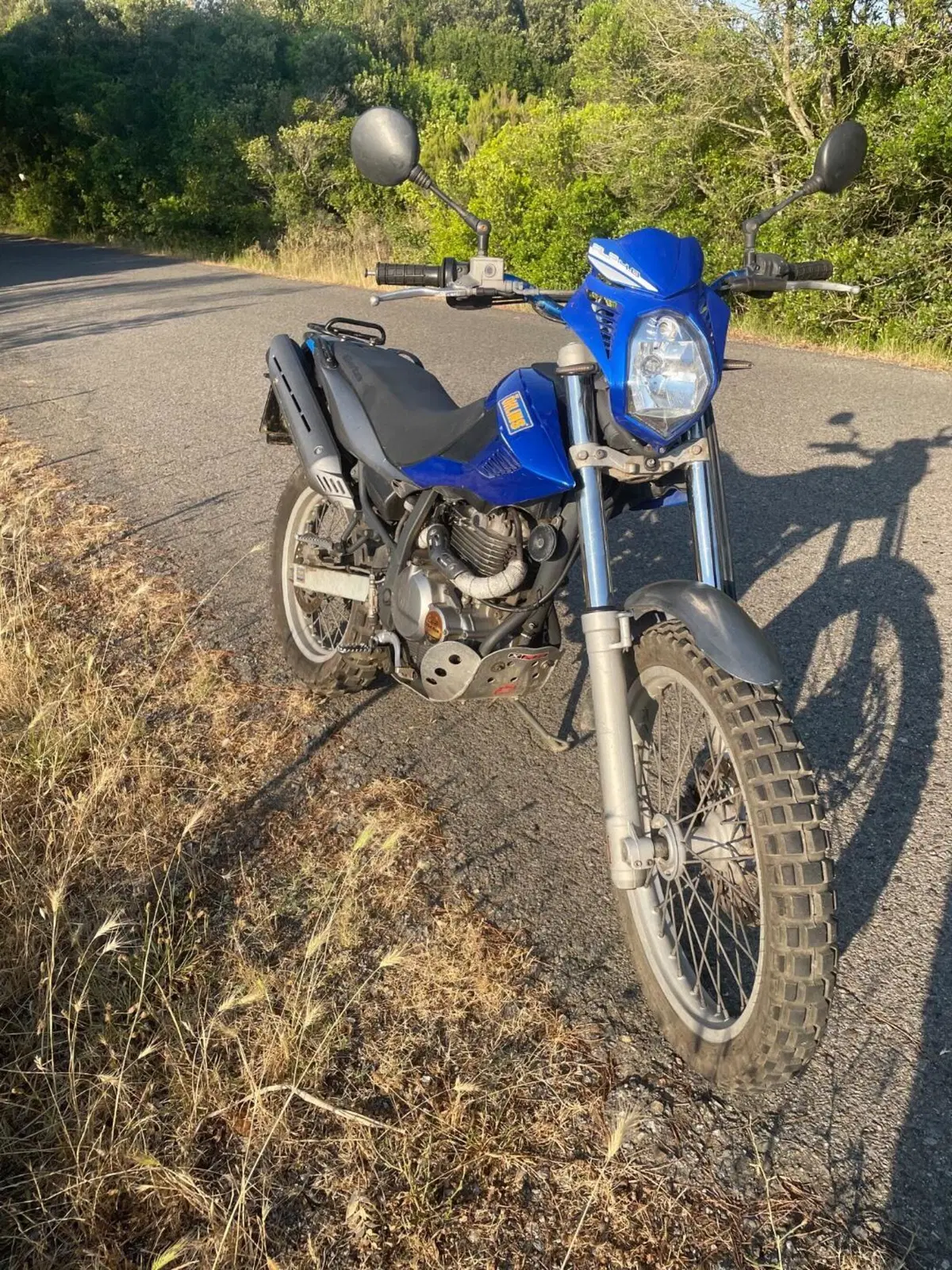 Betamotor Alp 4.0 (2008 - 17)