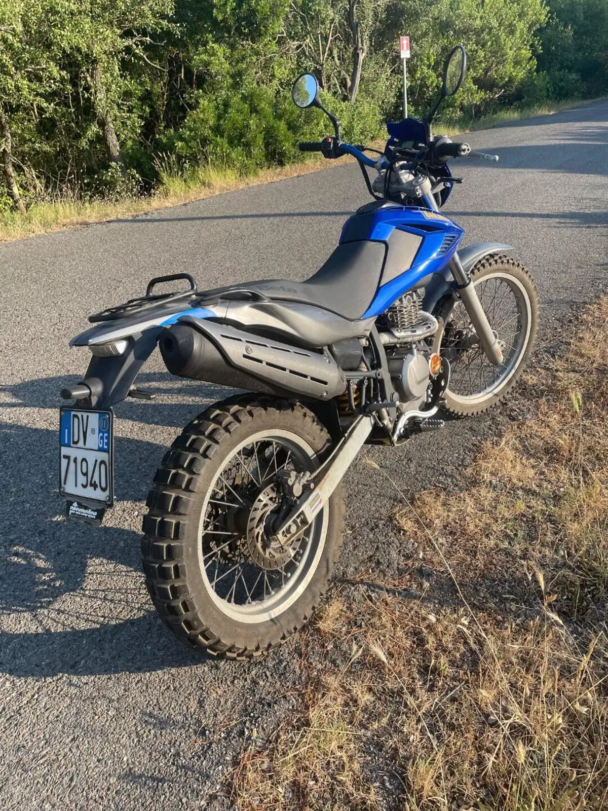 Betamotor Alp 4.0 (2008 - 17) (2)