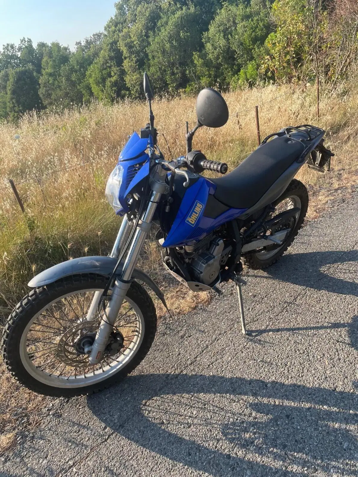 Betamotor Alp 4.0 (2008 - 17) (3)