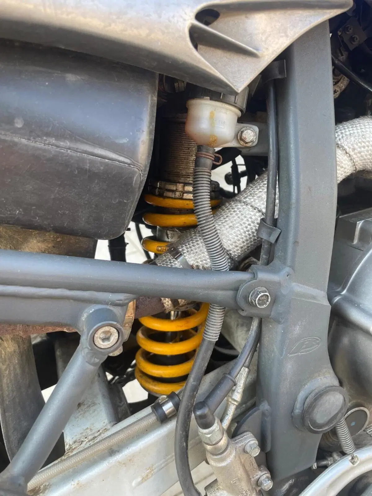 Betamotor Alp 4.0 (2008 - 17) (5)
