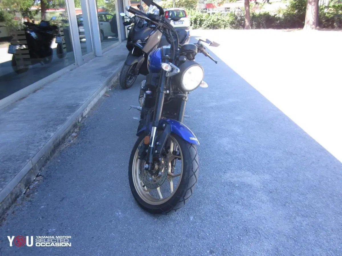 Yamaha XSR 125 (2021 - 24) (2)