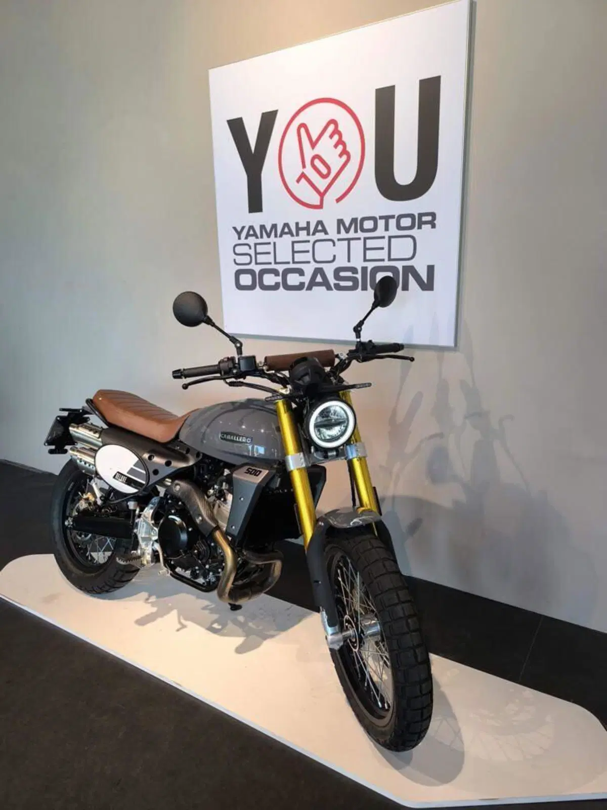 Fantic Motor Caballero 500 Scrambler Deluxe (2024) (2)
