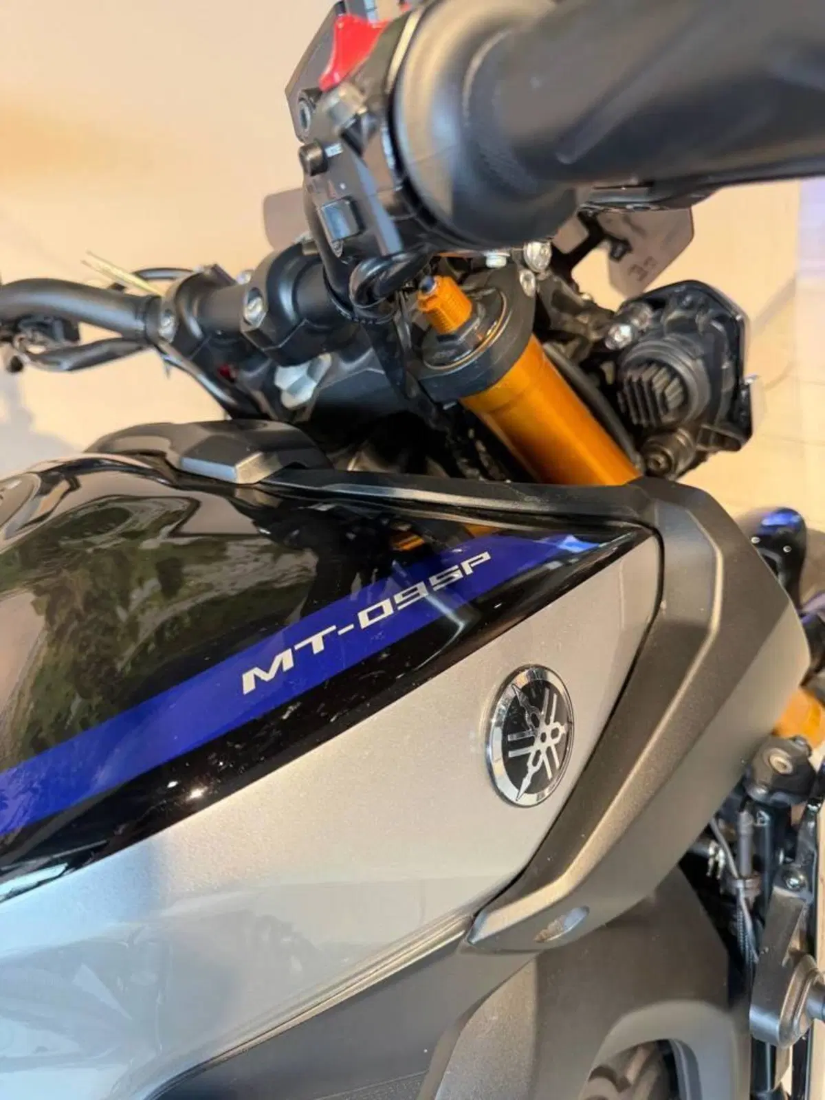 Yamaha MT-09 SP (2018 - 20) (6)