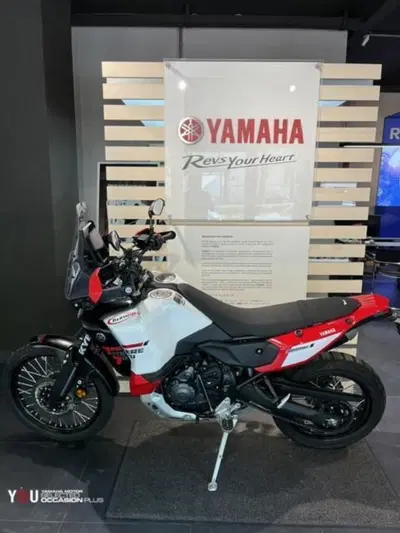 Yamaha T&eacute;n&eacute;r&eacute; 700 World Raid (2026) usata