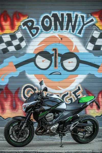 Kawasaki Z 800 (2012 - 13) usata