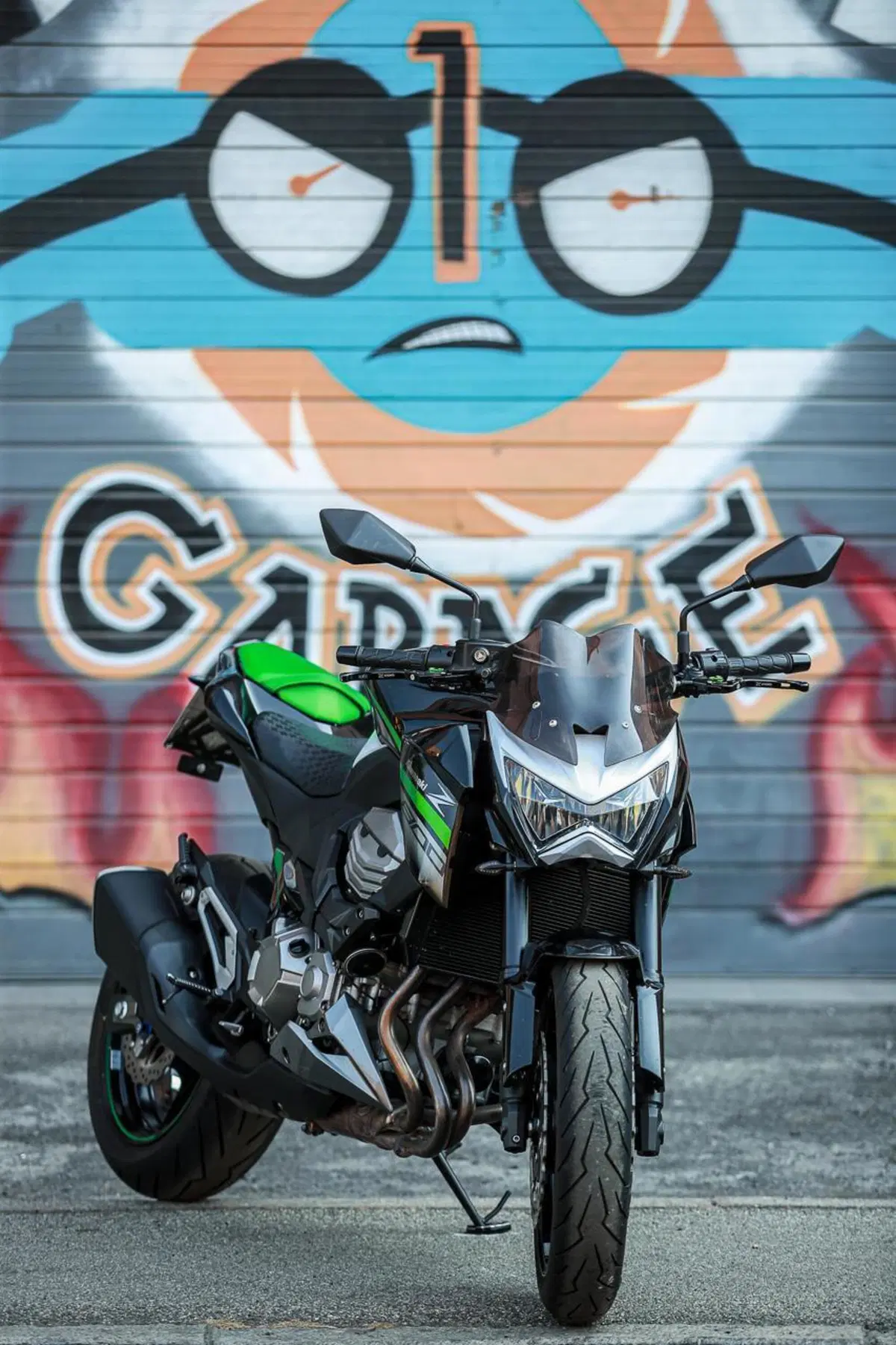 Kawasaki Z 800 (2012 - 13) (11)