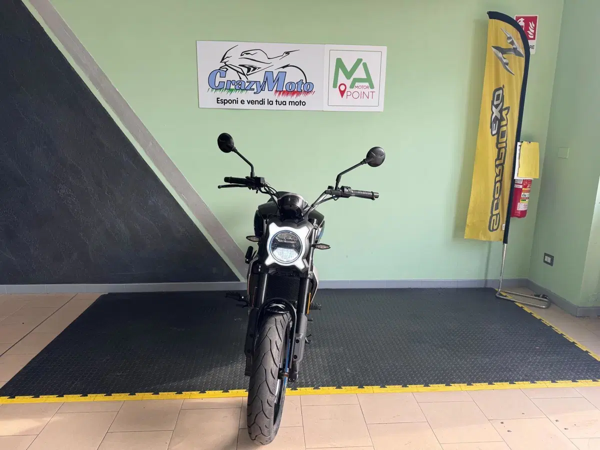 CFMOTO 300CL-X Heritage (2023 - 26) (3)