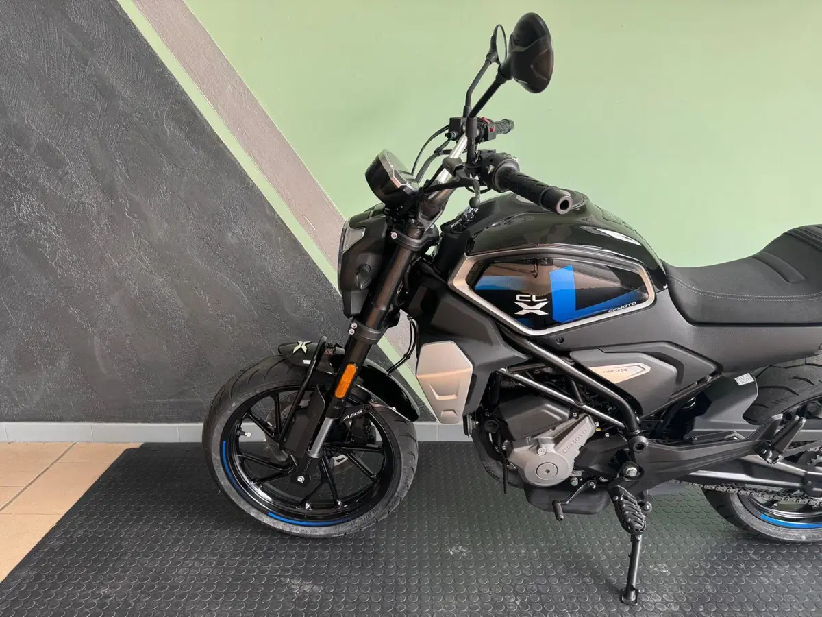 CFMOTO 300CL-X Heritage (2023 - 26) (6)