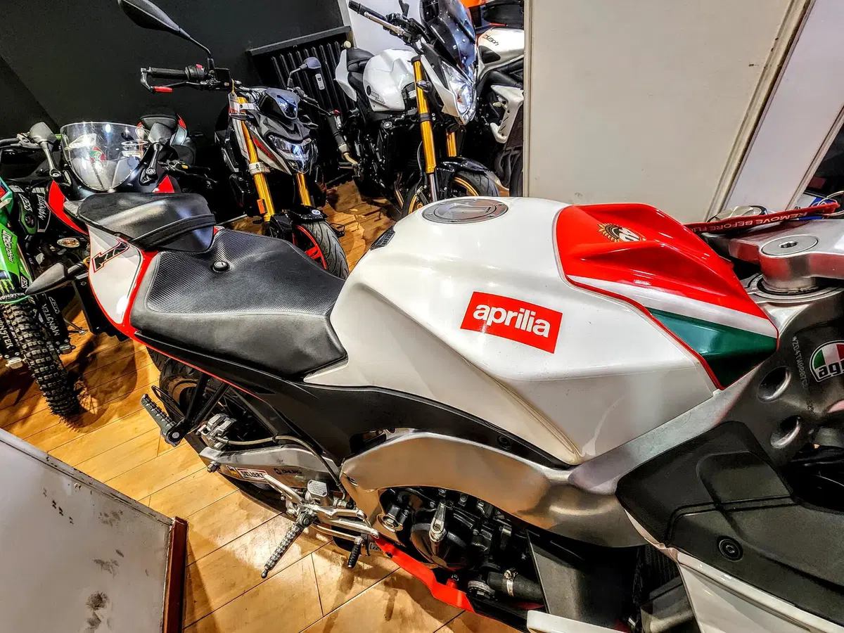 Aprilia RS4 125 (2011 - 16) (13)