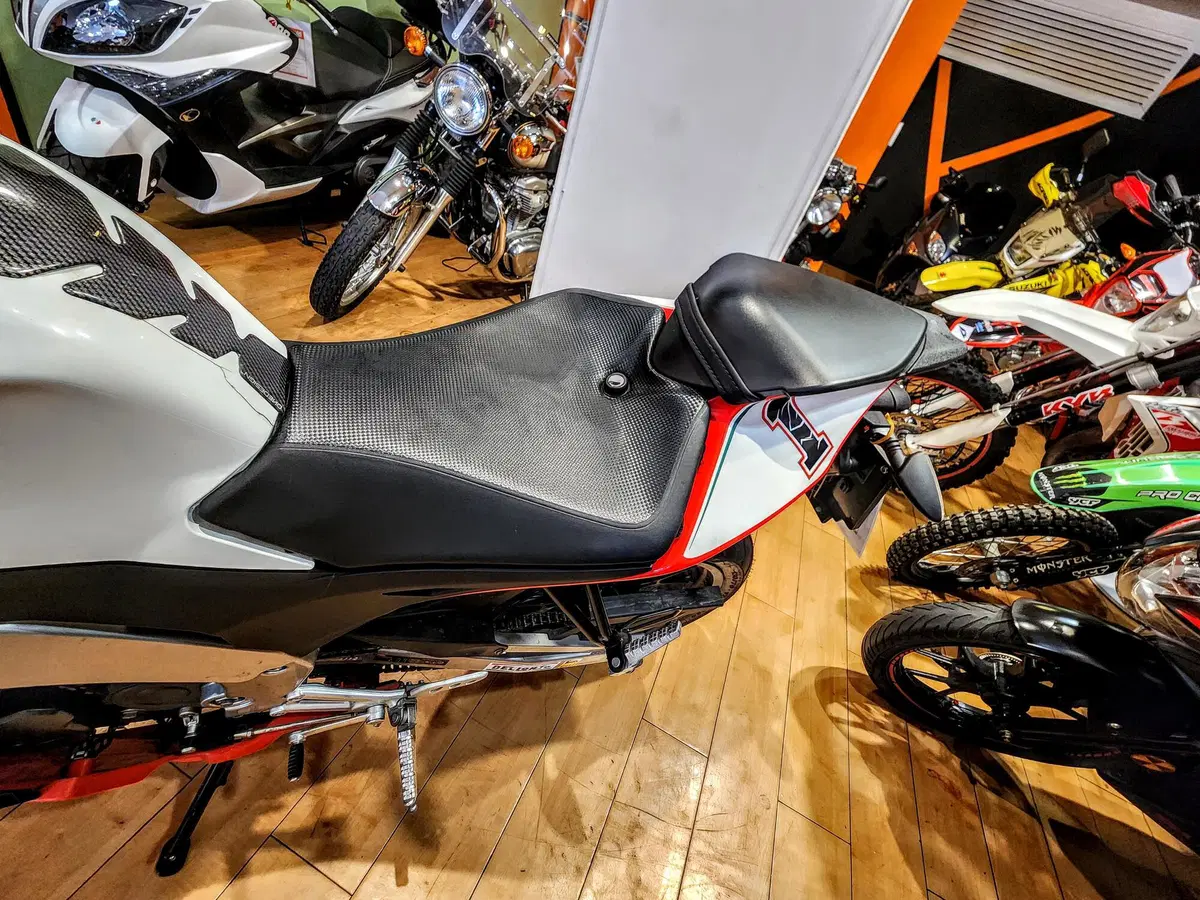 Aprilia RS4 125 (2011 - 16) (19)