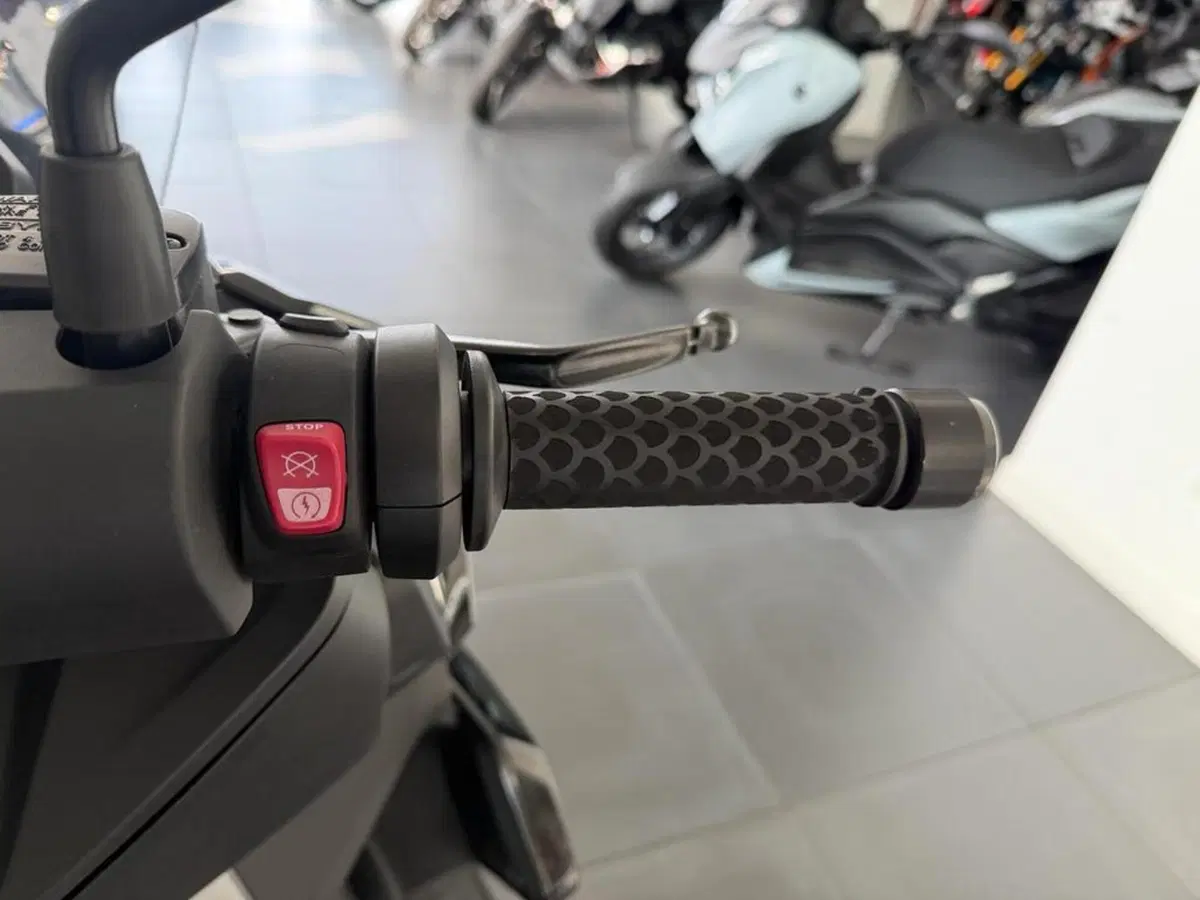 Bmw C 400 X (2018 - 20) (5)