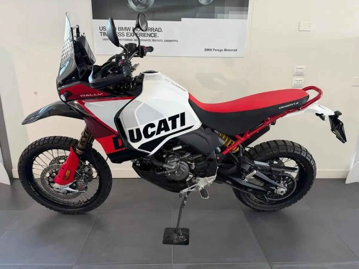 Ducati DesertX Rally (2024 - 25) (6)