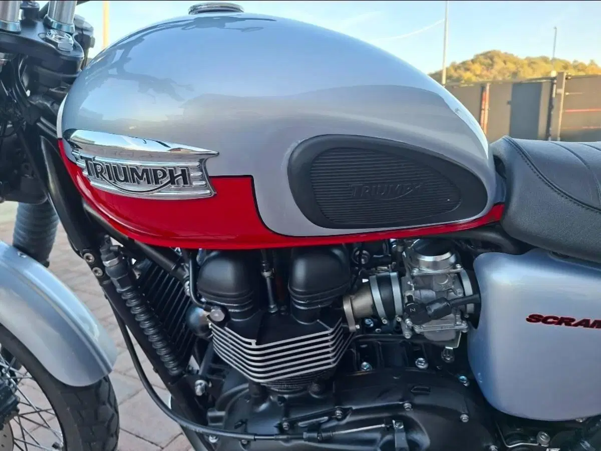 Triumph Scrambler (2006 - 17) (4)