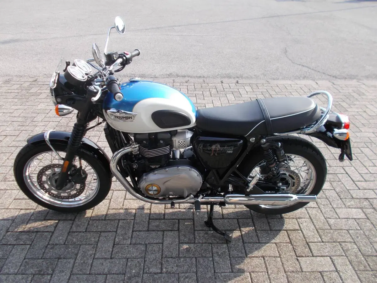 Triumph Bonneville T100 (2017 - 20) (2)