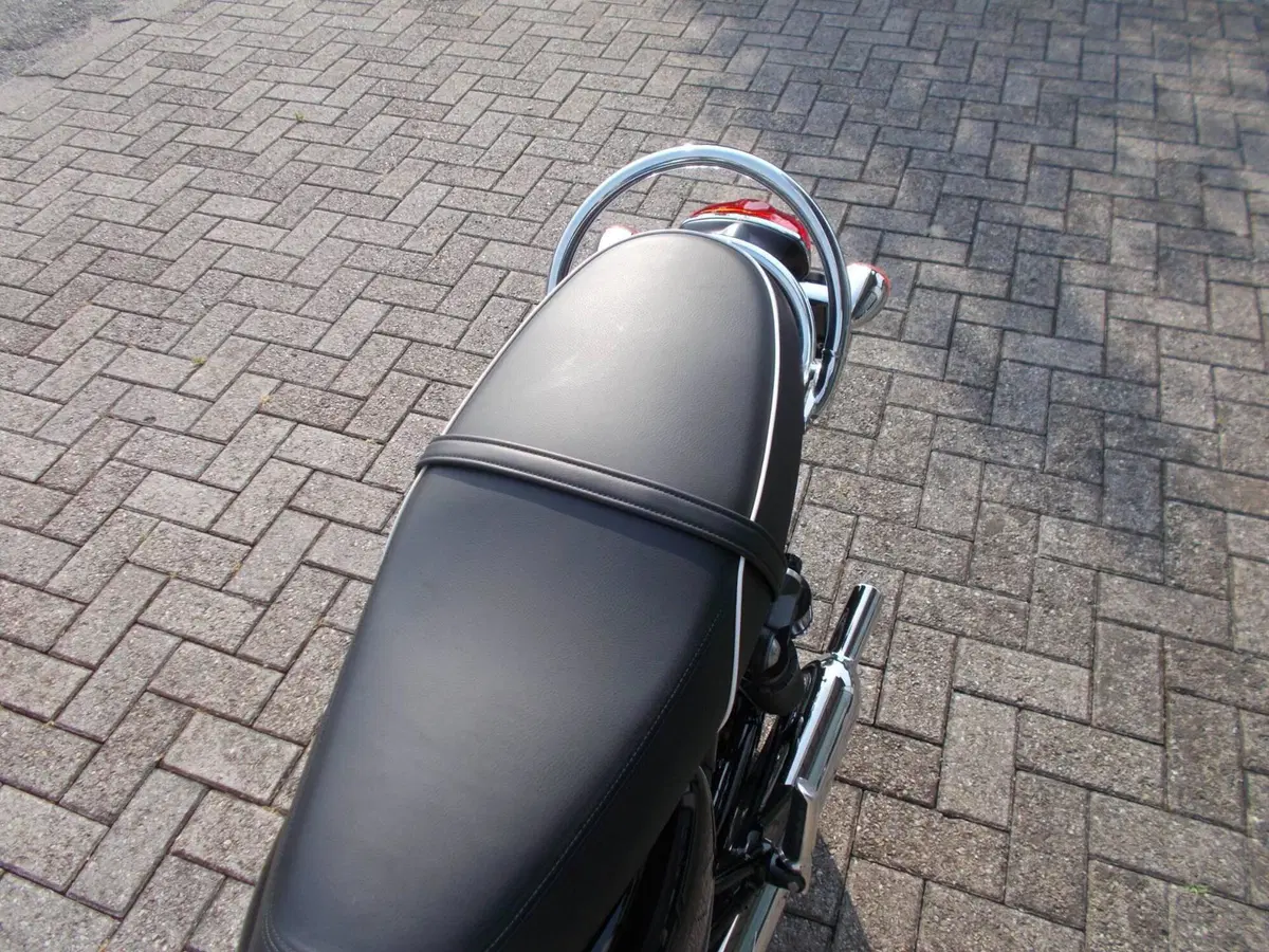 Triumph Bonneville T100 (2017 - 20) (4)