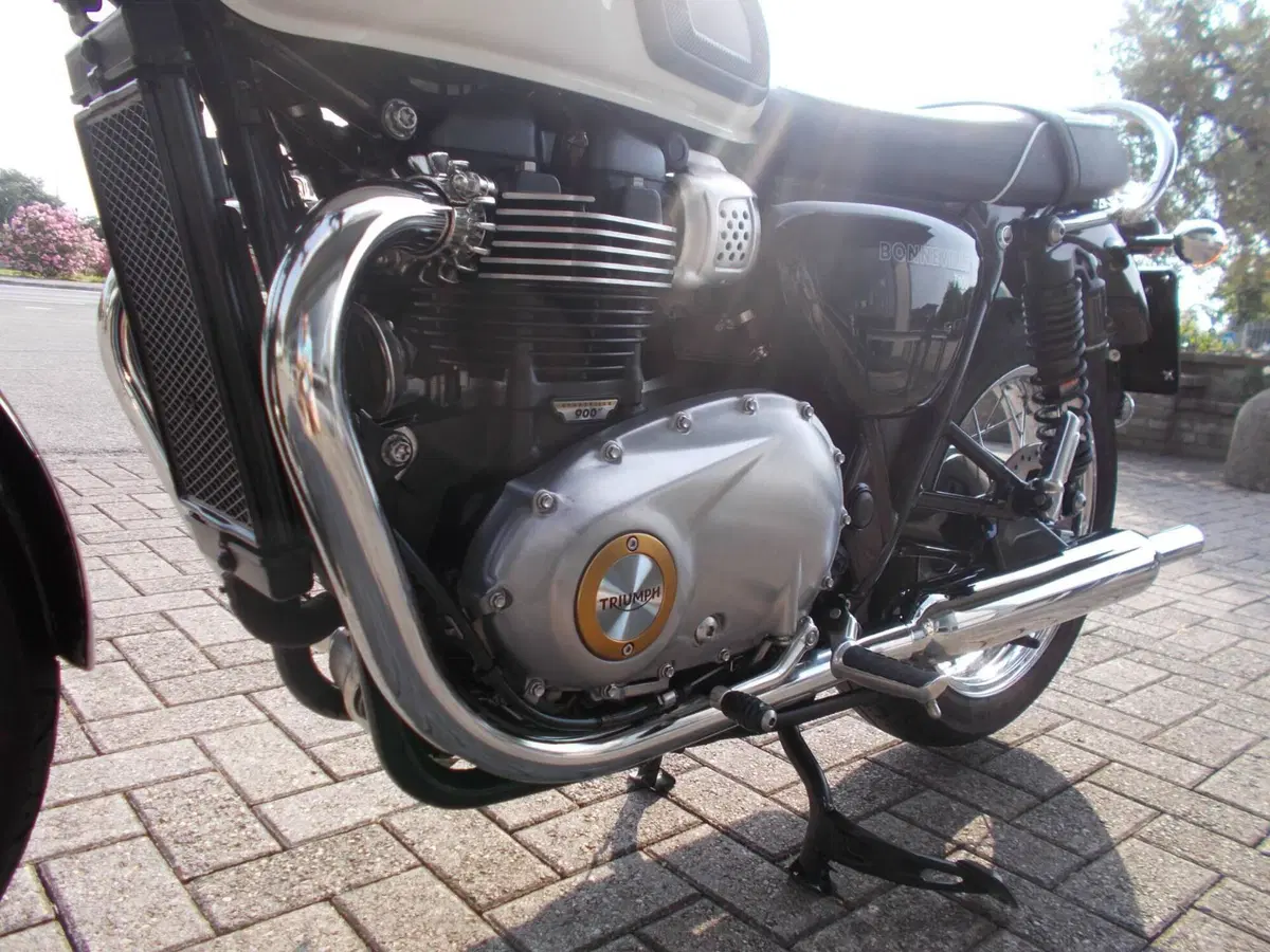 Triumph Bonneville T100 (2017 - 20) (6)